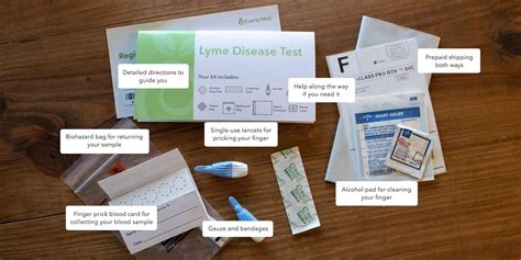 is lyme hard to test|lyme disease blood test negative.